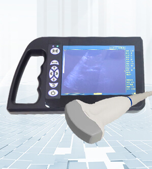 TC-300A+，兽用b超测孕仪