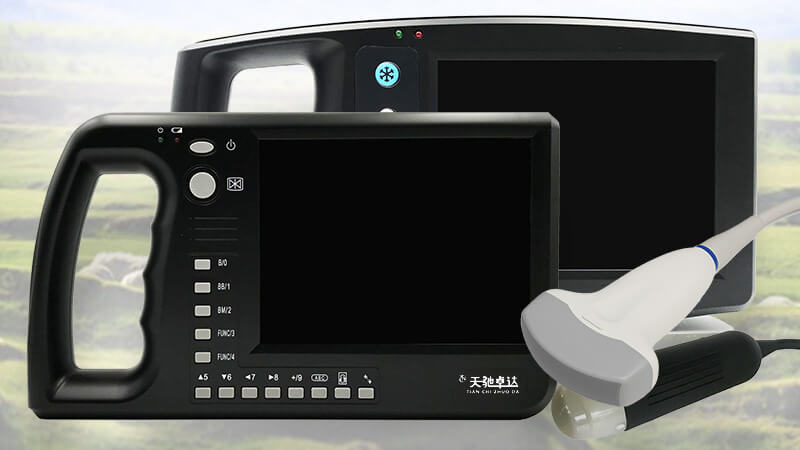 兽用b超仪检测前一定要给动物做保定吗